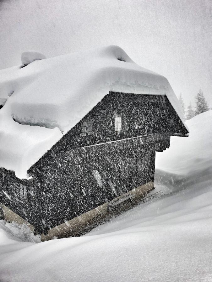 Das Bergerleben Sonnenalpe Nassfeld Dış mekan fotoğraf